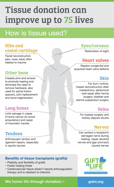 Organ and Tissue Donation Infographic