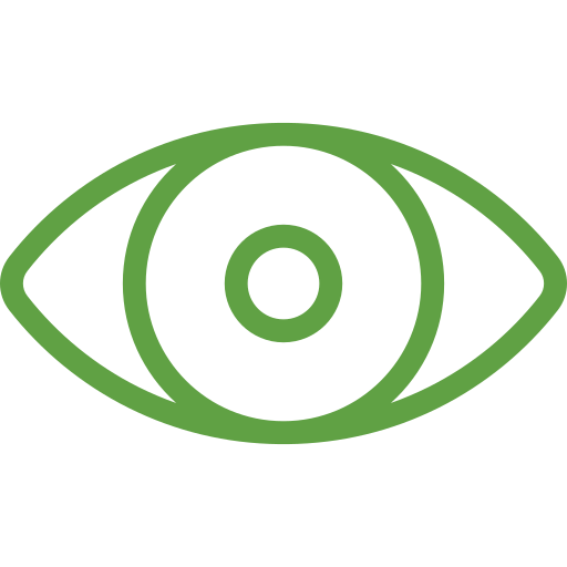 Eye Icon