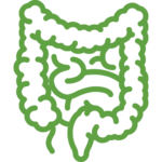 Intestines Icon