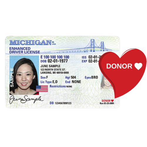 Michigan driver's license with red donor heart emphasized