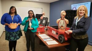 Three women with anatomy demo items