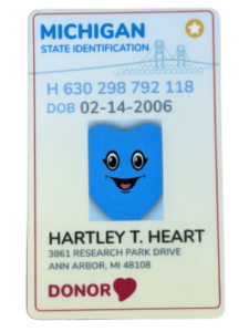 Michigan State ID featuring Hartley T. Heart, Gift of Life Michigan's mascot