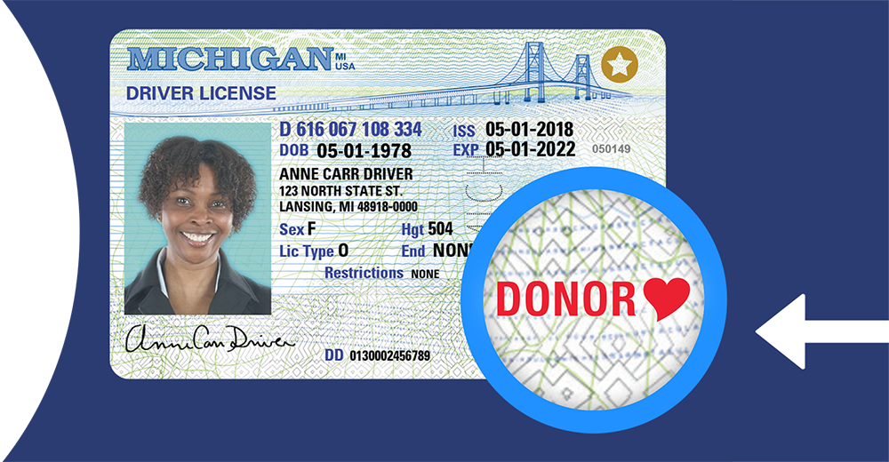 Sample Michigan driver's license with the red heart donor symbol emphasized
