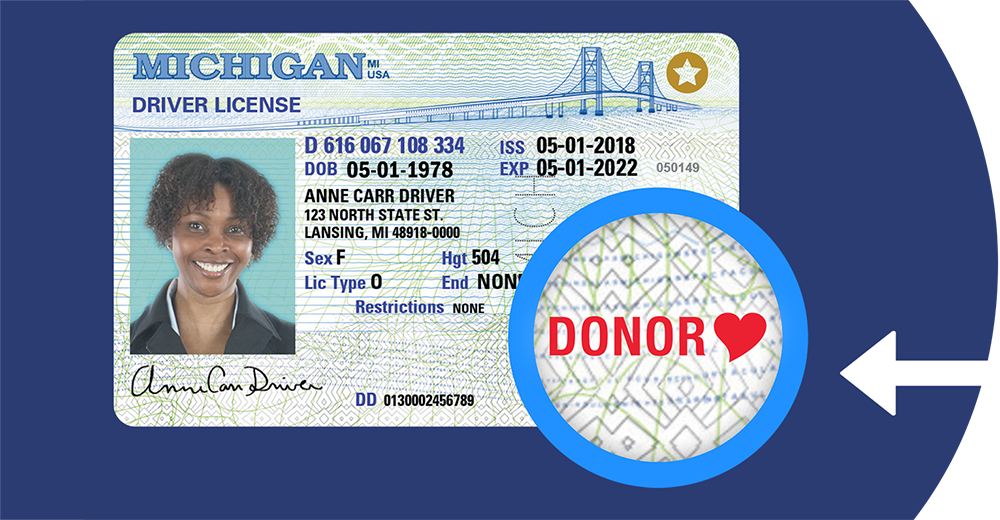 Michigan sample driver's license with red heart donor symbol emphasized