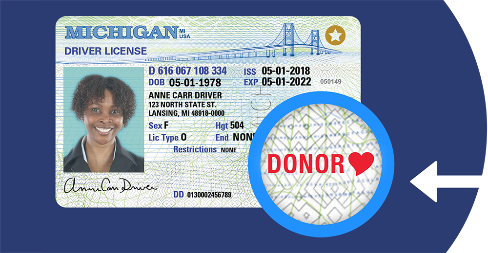 Michigan sample driver's license with red heart donor symbol emphasized