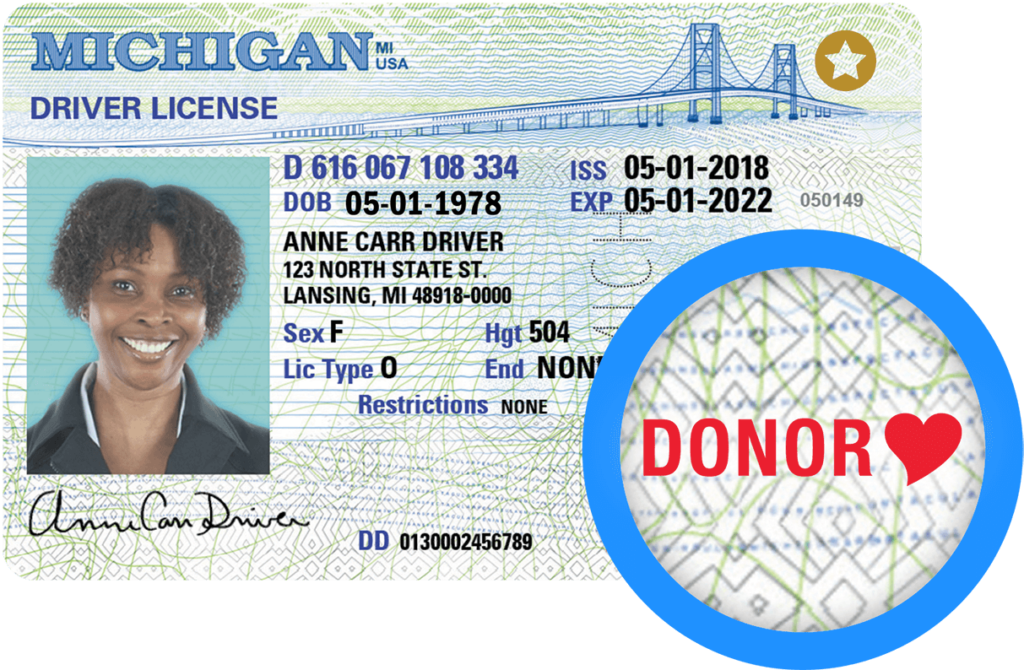 Michigan driver's license with the red donor heart emblem emphasized