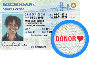 Michigan driver's license with the red donor heart emblem emphasized