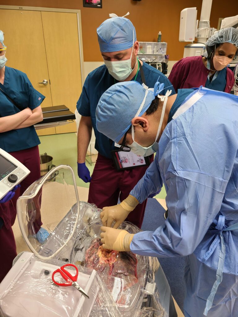 Surgeon works on donor lungs inside the TransMedics machine