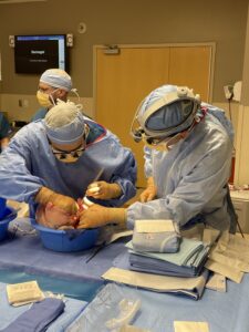 Surgical team working on donor lungs inside a bowl