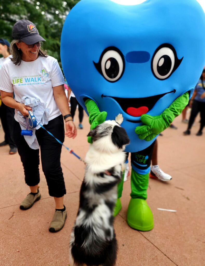 Black and white dog giving a "high five" to Gift of Life's mascot, Hartley, while the dog's owner looks on