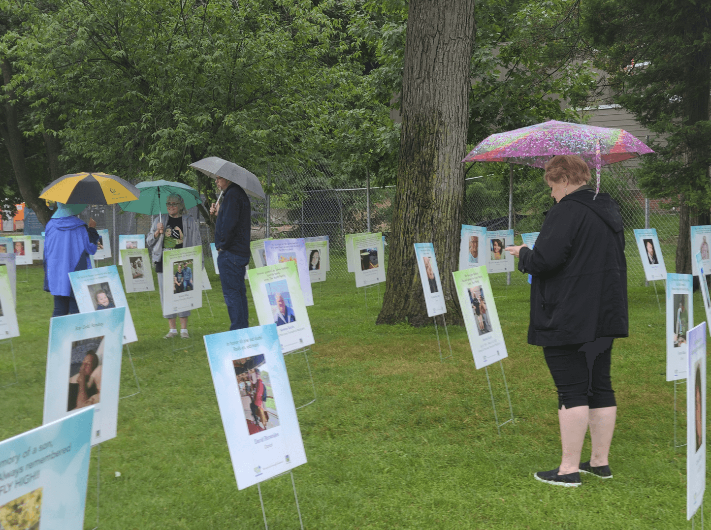 People gather in the rain under umbrellas, looking at poster yard signs with photos of those touched by organ donation and transplant
