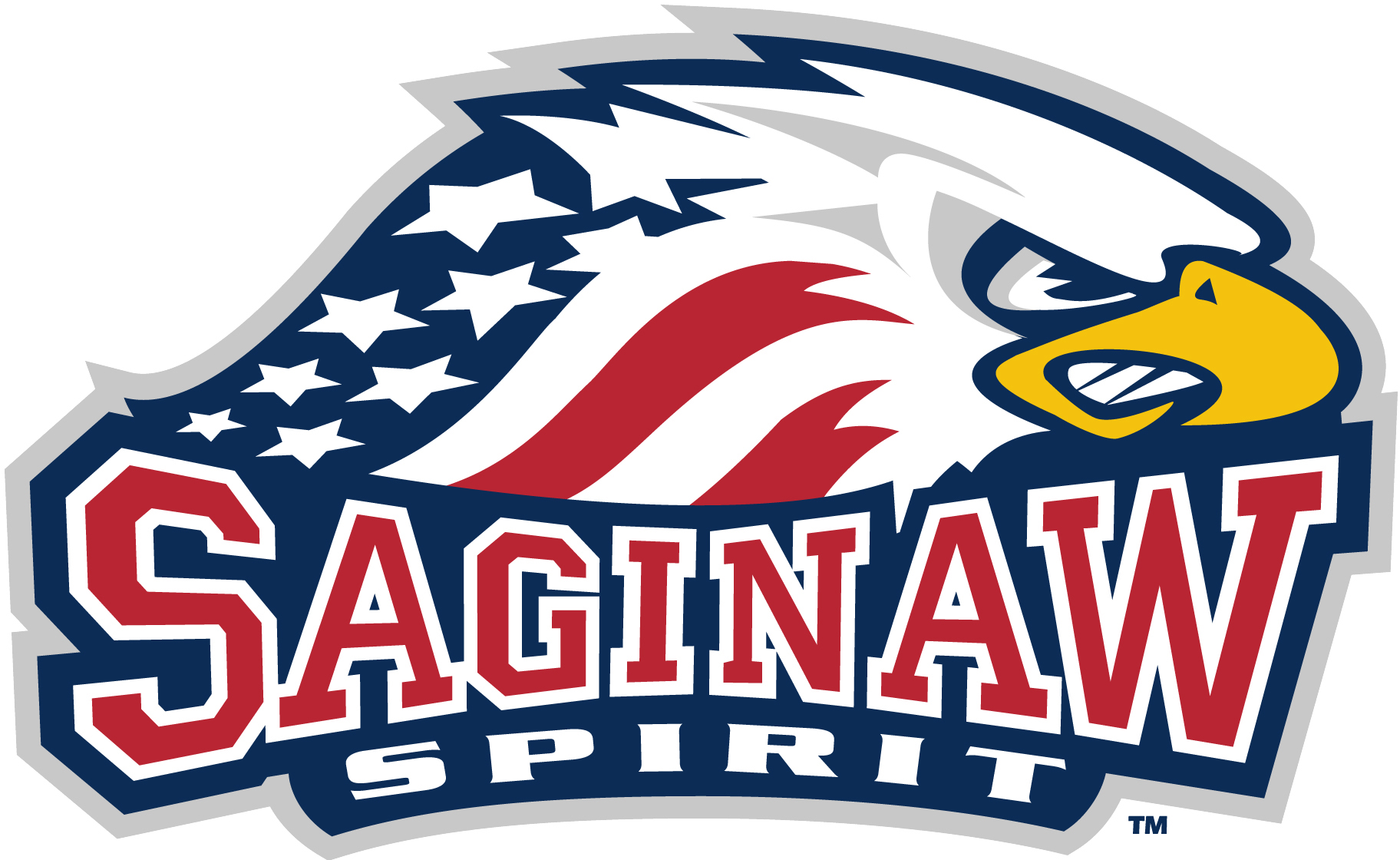 Saginaw Spirit Hockey Game