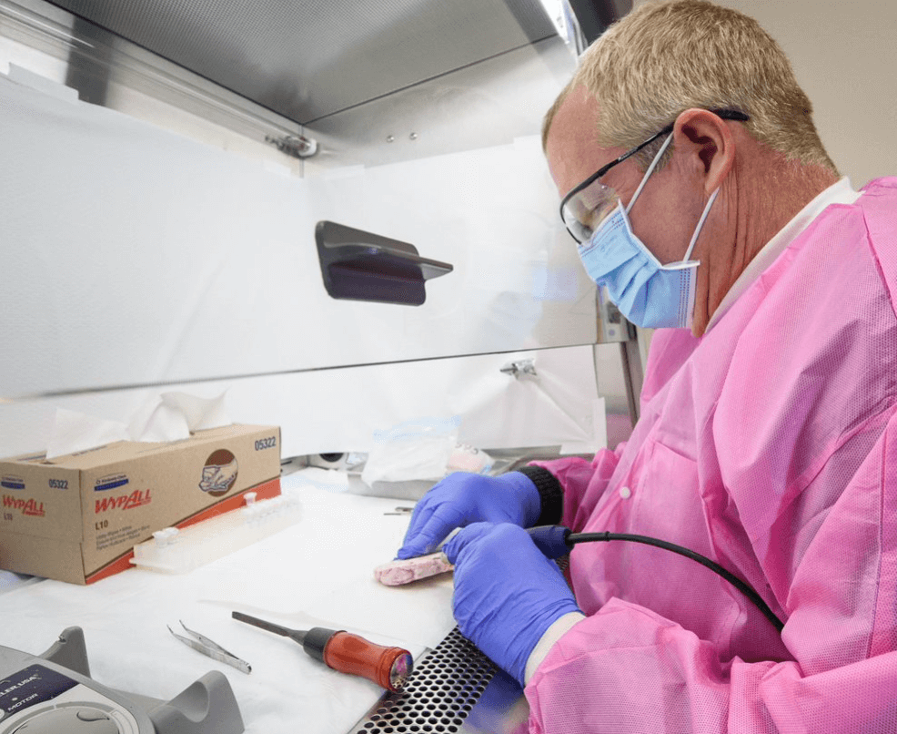 A researcher at the Leiber Institute studies a donated specimen.