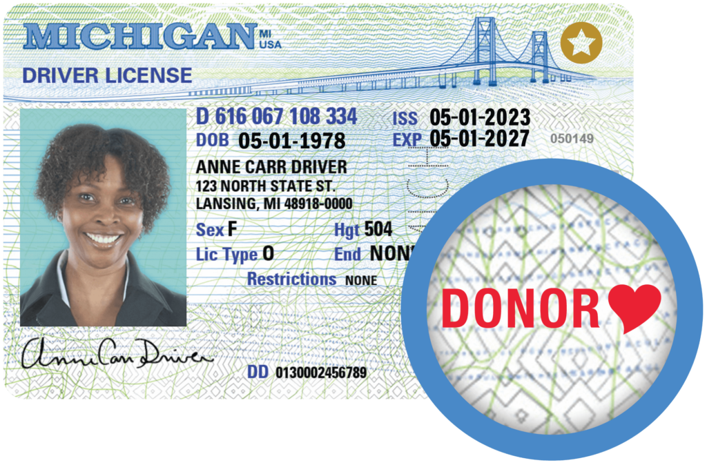 Photo of a Michigan Driver's License with the red heart "DONOR" symbol enlarged for emphasis