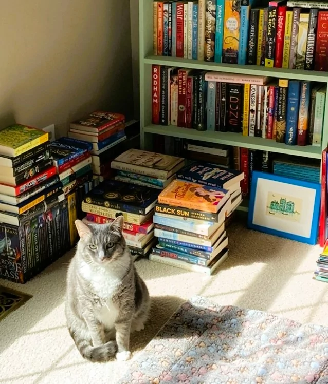 A gray and white cat sitting in front of several piles of books, in front of a bookshelf full of books