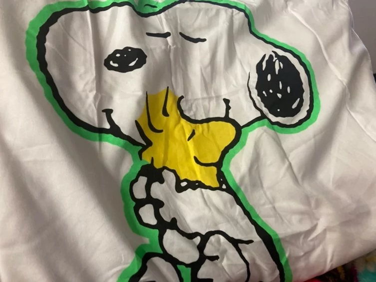 Snoopy hugging Woodstock on a pillowcase