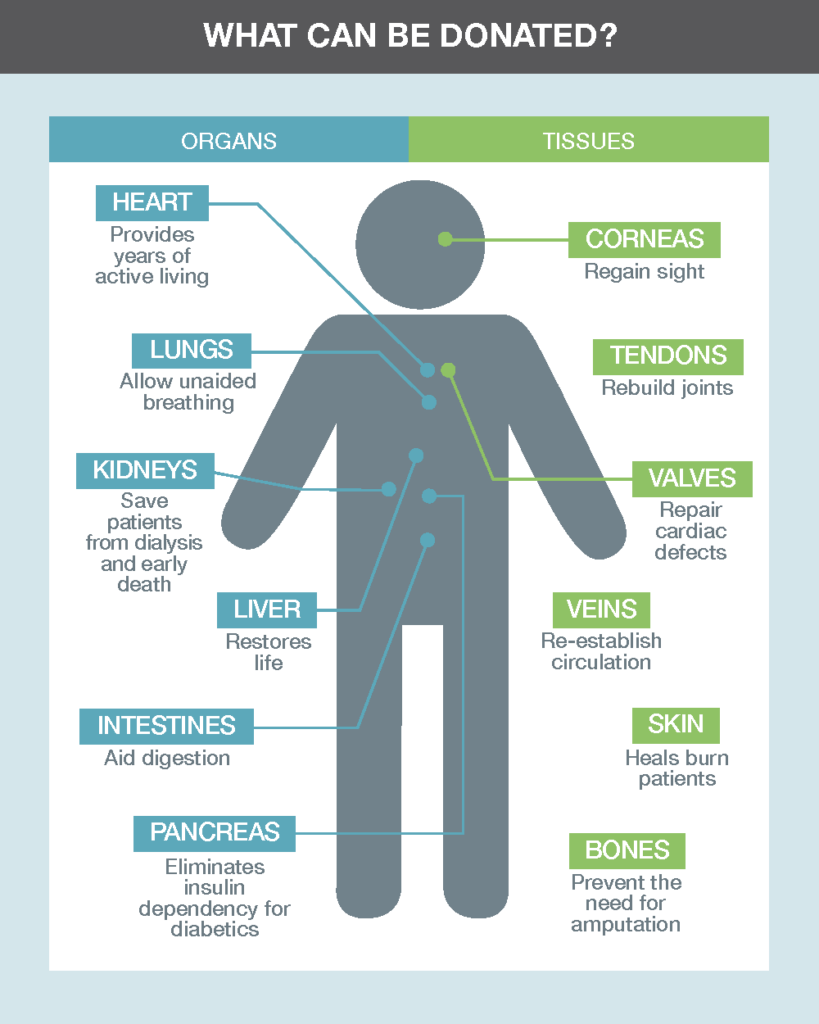 Stick figure person and descriptions of what can be donated.