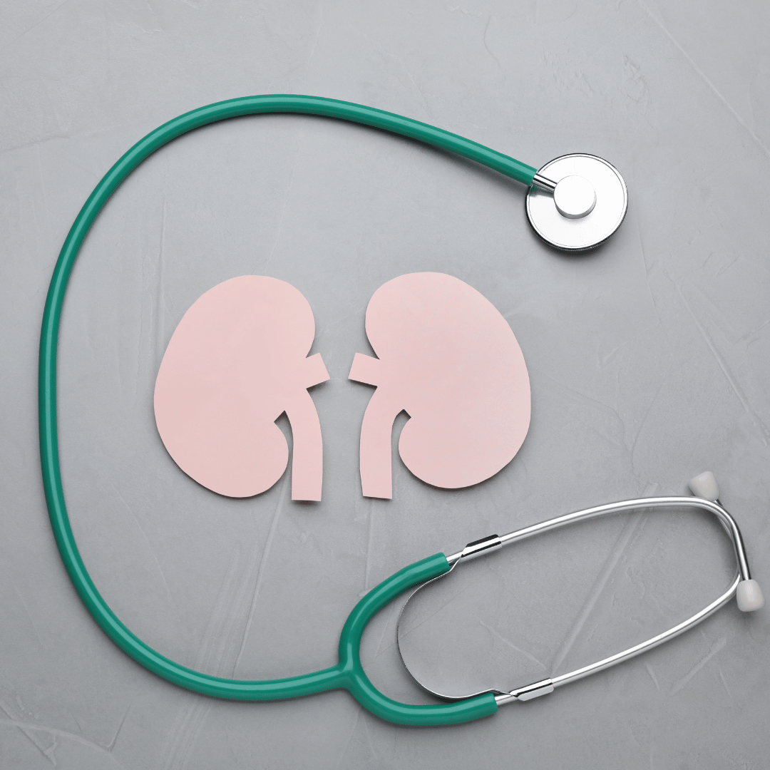 a green stethoscope surrounding two pink paper kidneys on a gray background