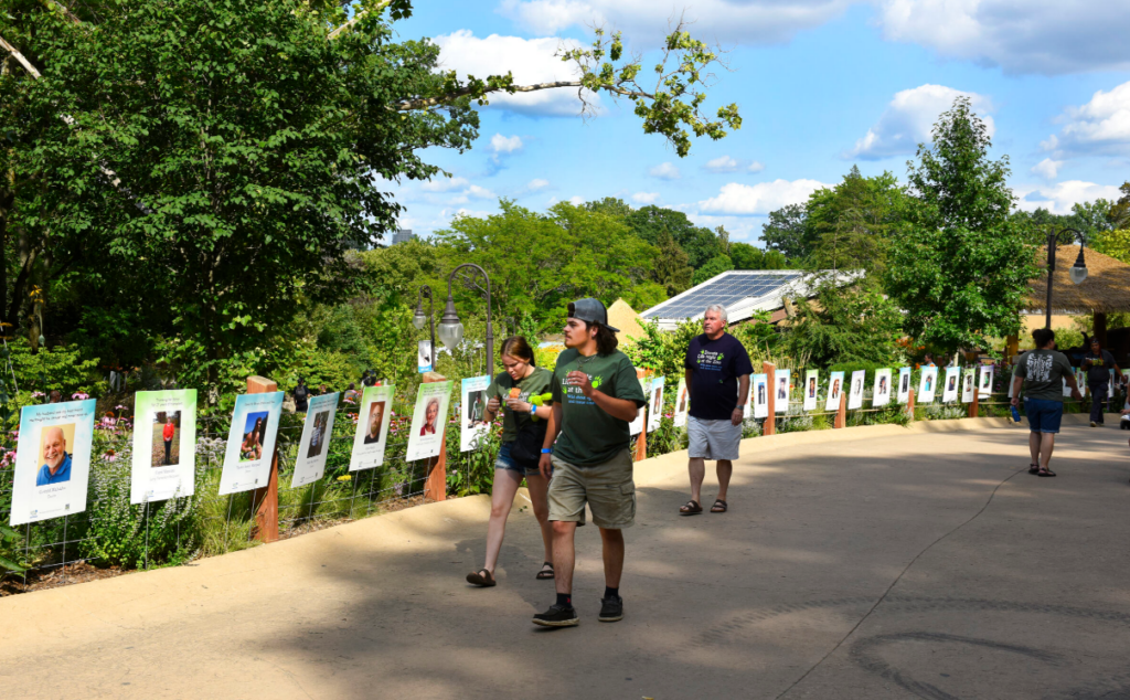 Donate Life Night at the Zoo guests walk through the Celebration of Life Trail, a series of posters featuring the photos and names of donors and recipients.