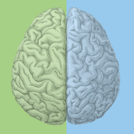 Image of a brain that is green on left (on green background) and blue on right (on blue background)