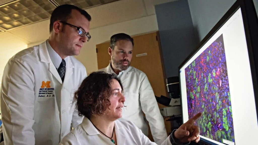 Filip Bednar, M.D., Ph.D., Marina Pasca di Magliano, Ph.D., and Tim Frankel, M.D., reviewing a pancreatic tissue sample.